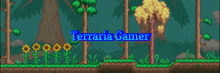 Terraria Discord GIF
