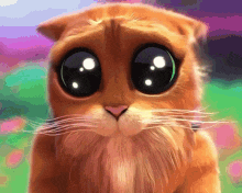 a cat with big eyes is looking at the camera .