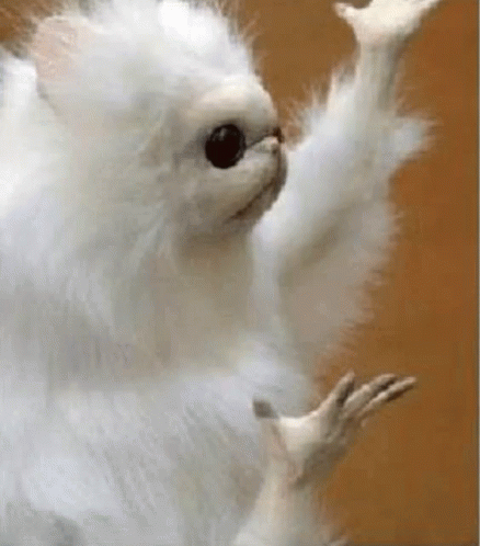 Idk Why GIF - Idk Why Really GIFs