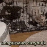 a cage with a bunch of puppies inside of it and the words " неприемна ситуація " written on the bottom