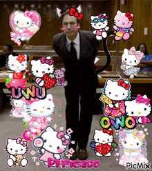 Saul Goodman Hello Kitty GIF - Saul Goodman Hello Kitty Uwu GIFs