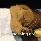 Grace Goodmorning GIF - Grace Goodmorning GIFs