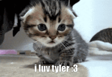 I Love Tyler Zyler GIF - I Love Tyler Tyler Ty GIFs