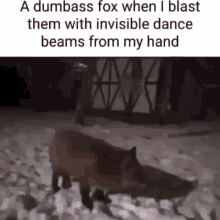 Dumbass Fox Invisible Dance Beams GIF - Dumbass Fox Invisible Dance Beams Dacning Fox GIFs