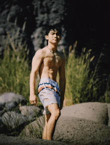 a shirtless man standing on a rock wearing shorts