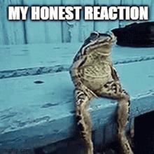 reaction frog