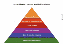 didier raoult pyramide preuves