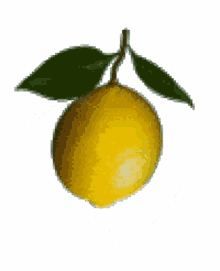 limon chat