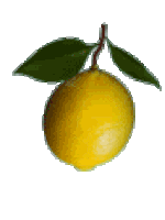 Limon In Sticker - Limon In Chat Stickers