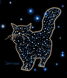 a black background with a cat made of blue dots and the words softness