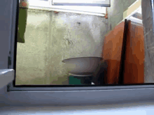 Is It Gone? GIF - Cats Hiding GIFs