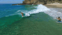 Surfing People Are Awesome GIF - Surfing People Are Awesome Water Sport GIFs