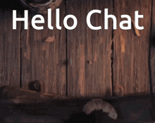 Hello Chat Puss In Boots The Last Wish GIF - Hello Chat Puss In Boots The Last Wish Puss In Boots The Last Wish Hello Chat GIFs