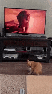 Cat Kitten GIF - Cat Kitten Watching Tv GIFs