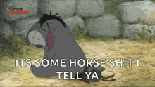 eeyore from winnie the pooh sits in the dirt and says " it 's some horse shit i tell ya "