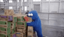 Cookie Monster GIF - Cookie Monster Cookies GIFs