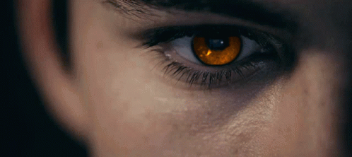 La Guerre Noble Fire-eyes-amber-glow