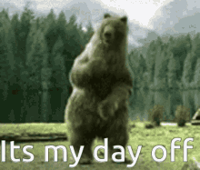 Its My Day Off GIF - Its My Day Off Happy Dance GIFs