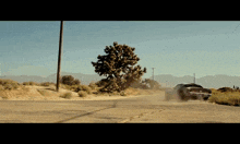 a car is driving down a dirt road near a tree