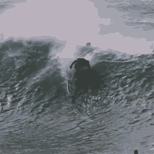 Surfista Caindo Flamboiar GIF - Surfista Caindo Flamboiar Surfista GIFs
