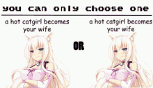 Choose One Catgirl GIF - Choose One Catgirl Anime GIFs
