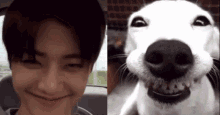 Heiiosfuture Jaemin Dog Smiling GIF - Heiiosfuture Jaemin Dog Smiling Jaemin GIFs