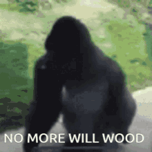 Gorilla Willwood GIF - Gorilla Willwood GIFs