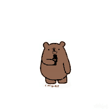 Bear Cute GIF - Bear Cute Breaking News GIFs