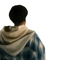 the back of a person wearing a plaid shirt and a white hoodie