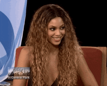 a woman with long curly hair is smiling in front of a banner that says ellen in central park