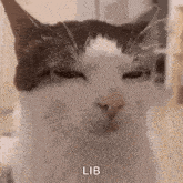 a close up of a cat 's face with its eyes closed and the word lib written below it .