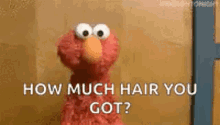 Elmo Shrug GIF - Elmo Shrug So What GIFs