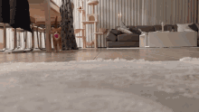 a dog playing with a ball in a living room with a couch