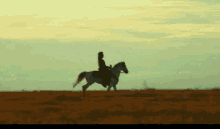 T Vresidence Horse GIF - T Vresidence Horse Riding GIFs