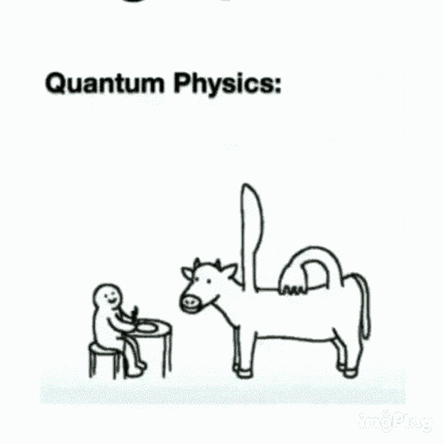 quantum mechanics black guy meme