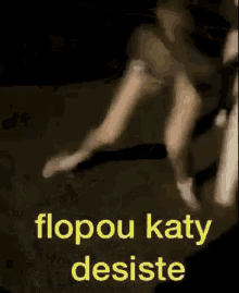 Katy Perry Gabriely Heringer GIF - Katy Perry Gabriely Heringer Flopou GIFs