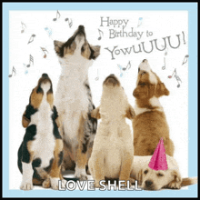 a group of dogs singing happy birthday to you