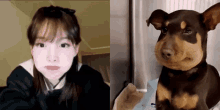 Nayeon Twice Meme GIF - Nayeon Twice Meme Dog GIFs