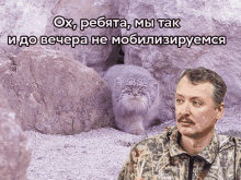 Strelkov Manuls GIF - Strelkov Manuls GIFs