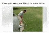Pndc Pondcoin GIF