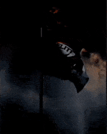 an elite squad flag flies in the wind