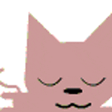 a close up of a pink cat with its eyes closed .