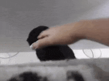 a person is putting a pair of black socks on a hanger .