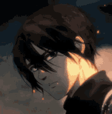 Mikasa Aot GIF - Mikasa Aot GIFs