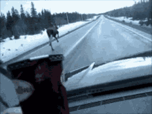 Deer Running Slide Down GIF