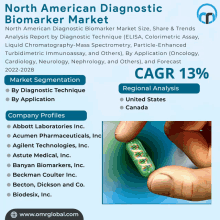 North American Diagnostic Biomarker Market GIF - North American Diagnostic Biomarker Market GIFs