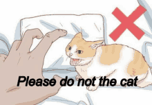 Please Do Not The Cat GIF - Please Do Not The Cat Do Not The Cat GIFs
