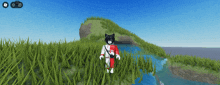 a black and white cat is standing in the grass near a stream