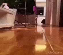 Cat Running GIF - Cat Running Silly GIFs