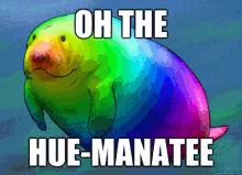 Oh The Hue-manatee GIF - Manatee Hue Colors GIFs